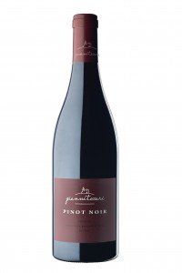 PINOT NOIR | Veneto Rosso IGT