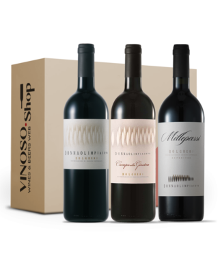 Esperienza di Bolgheri