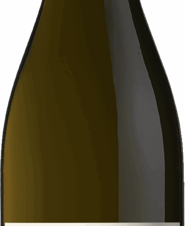 merlot-1.png