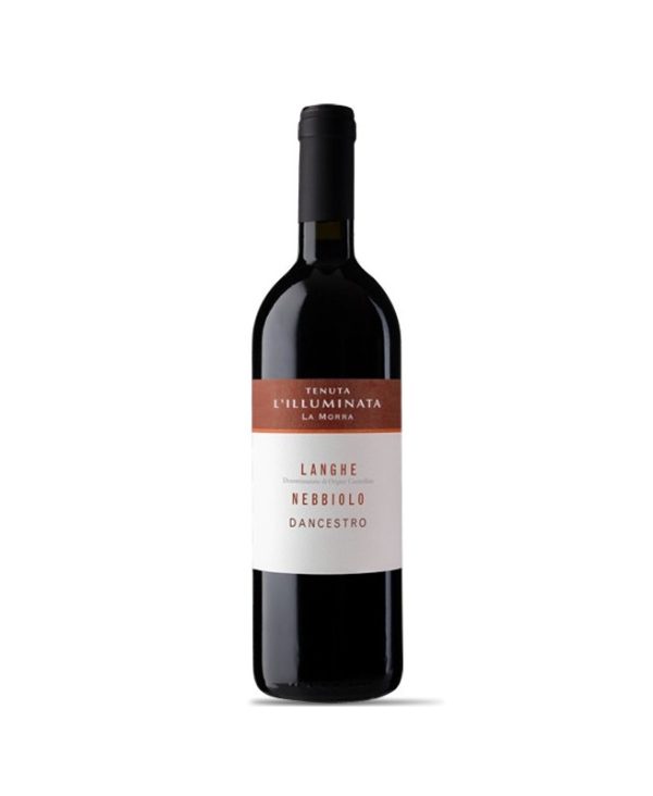 nebbiolo-dancestro.jpg