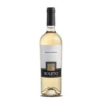 pinot-grigio-moletto_1_.webp