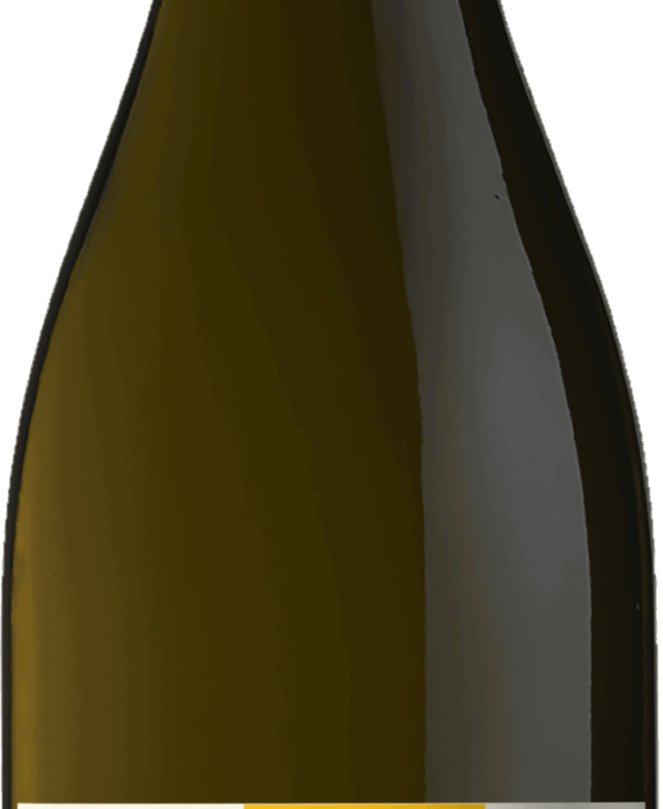 ribolla-gialla-3.png