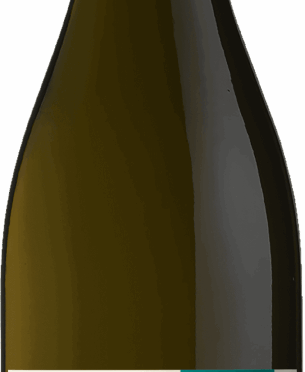 sauvignon-2.png