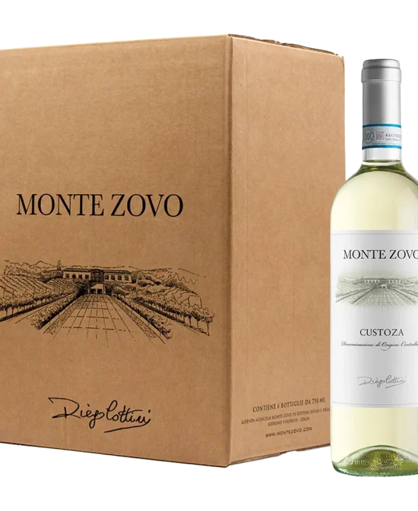 cartone-custoza-evidenza.webp